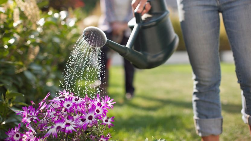 Lawn Care Tips to Make Your Yard the Envy of the Neighborhood