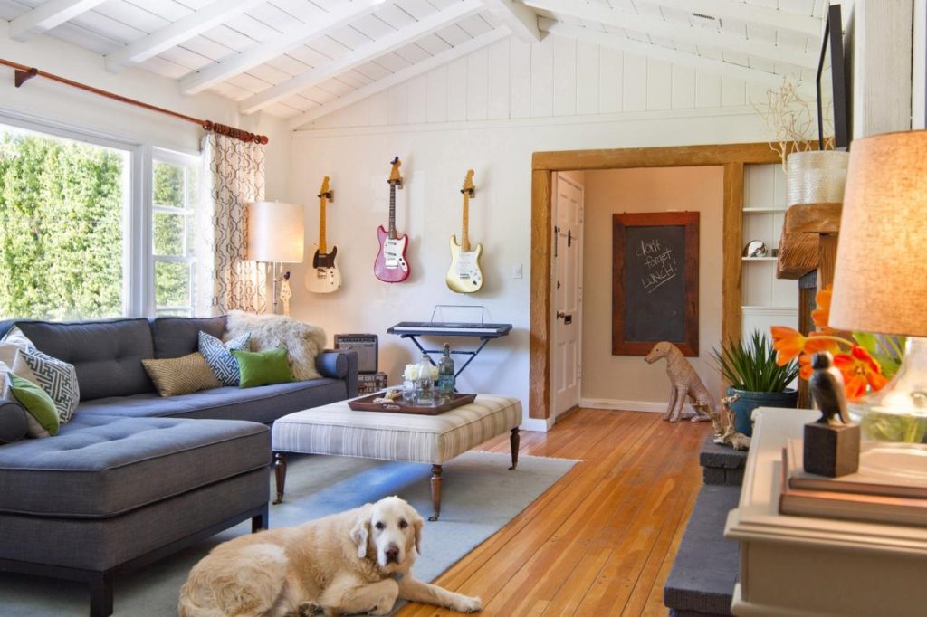 5 Important Interior Design Tips When Bringing Dogs Into Your Home