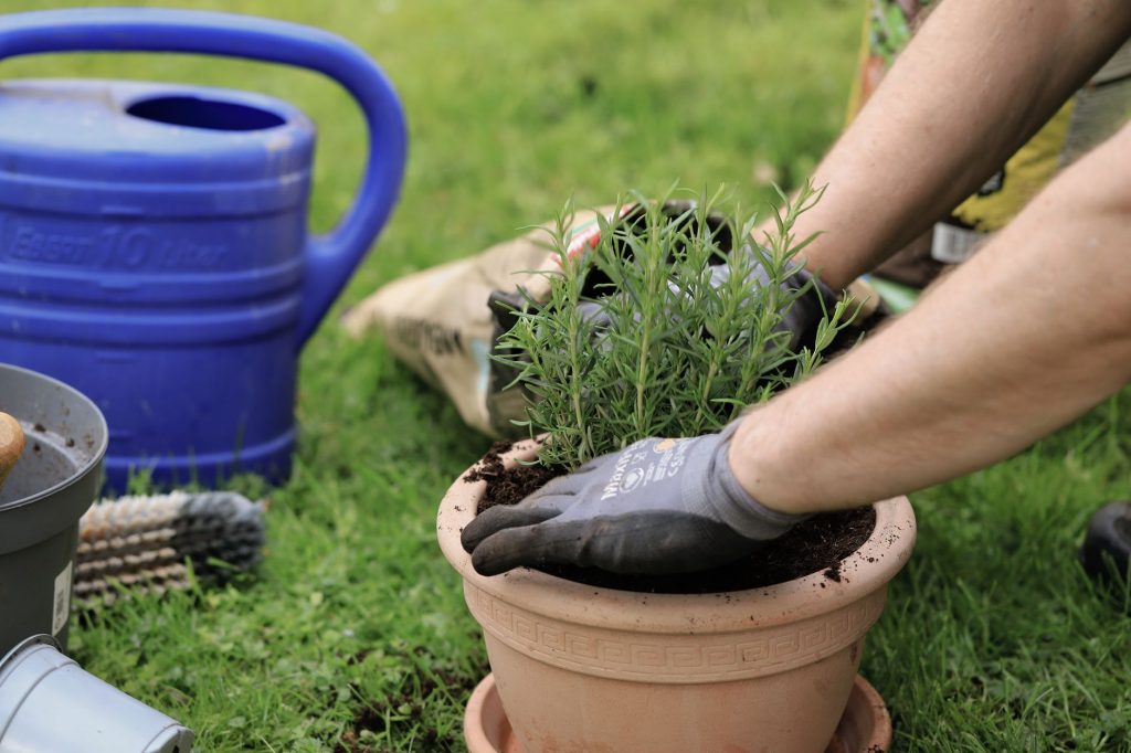 Comprehensive Guide to Artificial Grass Cleaning Service: Benefits, Best Practices, and Professional Solutions