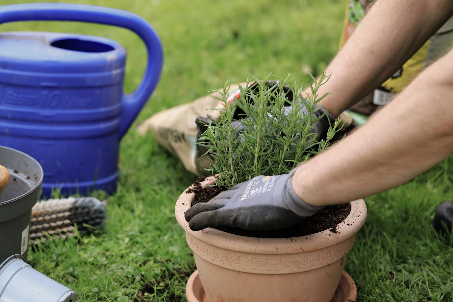 A gardener planting herbs in a terracotta pot with a watering can nearby on a sunny day. — Comprehensive Guide to Artificial