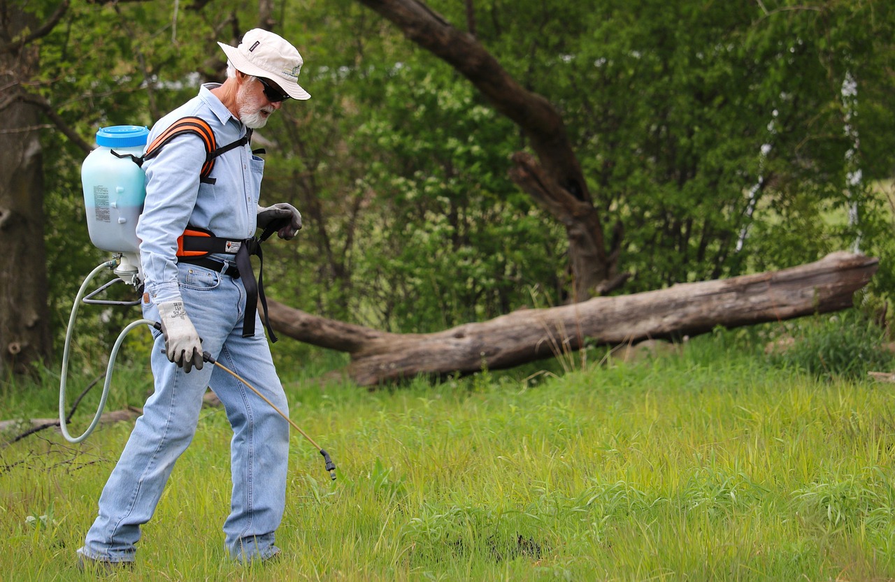 Grass, backpack sprayer, maintenance — Professional Plumbing Repair In Dallas: To Keep Your Home Systems Safe And Running Smo